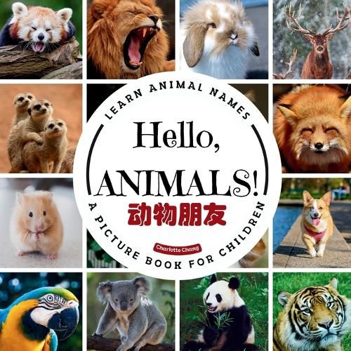 Cover image for Hello, Animals!