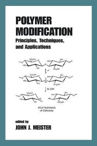 Cover image for Polymer Modification: Principles, Techniques, and Applications