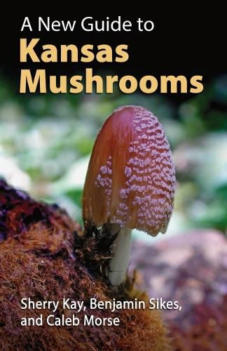 Cover image for A New Guide to Kansas Mushrooms