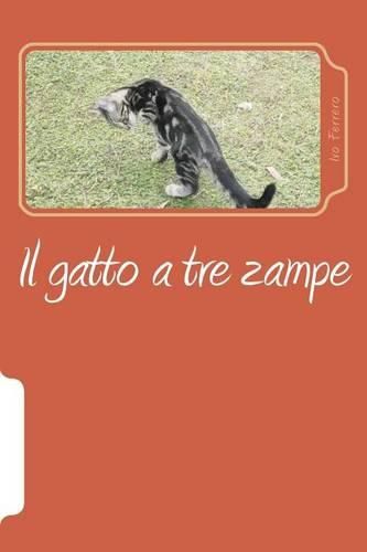 Cover image for Il gatto a tre zampe: La mia vita con i gatti