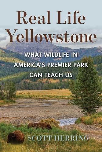 Cover image for Real Life Yellowstone
