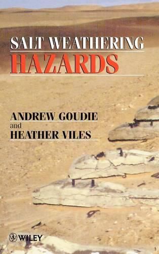 Cover image for Salt Weathering Hazards