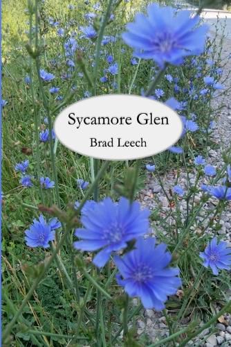 Cover image for Sycamore Glen
