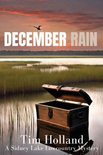 Cover image for December Rain