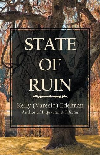 Cover image for State of Ruin