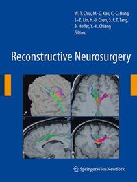 Cover image for Reconstructive Neurosurgery