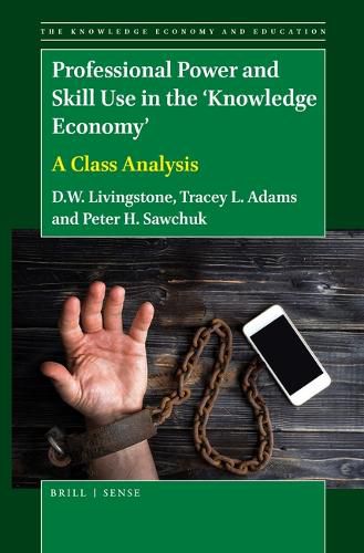 Cover image for Professional Power and Skill Use in the 'Knowledge Economy': A Class Analysis