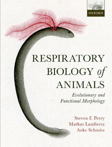 Respiratory Biology of Animals: evolutionary and functional morphology