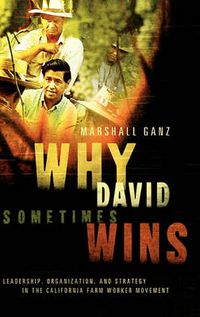 Cover image for Why David Sometimes Wins: Leadership, Strategy and the Organization in the California Farm Worker Movement