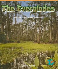 Cover image for The Everglades: Analyzing Graphs, Tables, and Charts