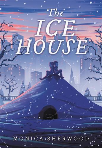 Cover image for The Ice House