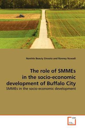 Cover image for The Role of SMMEs in the Socio-economic Development of Buffalo City