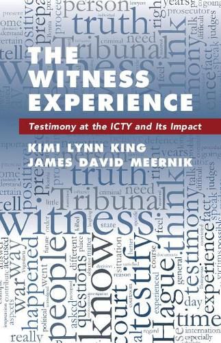 Cover image for The Witness Experience: Testimony at the ICTY and Its Impact