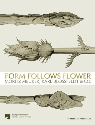 Cover image for Form Follows Flower: Moritz Meurer, Karl Blossfeldt & Co.