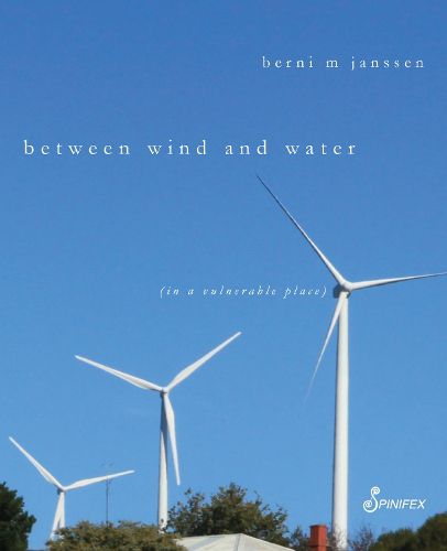 Cover image for Between Wind and Water: (in a vulnerable place)