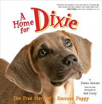 Cover image for A Home For Dixie