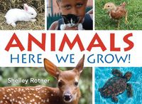 Cover image for Animals!: Here We Grow
