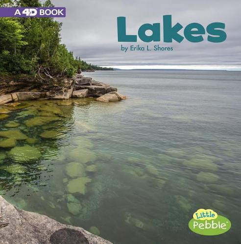 Cover image for Lakes: A 4D Book