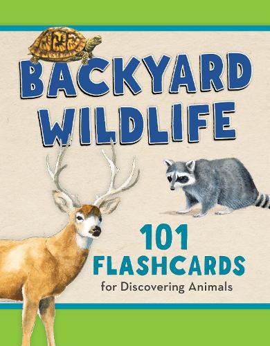 Cover image for Backyard Wildlife