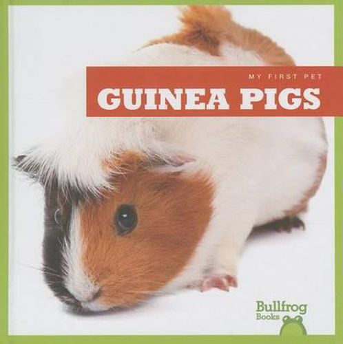 Cover image for Guinea Pigs