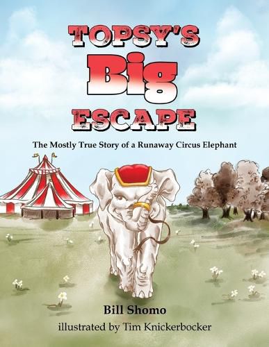 Cover image for Topsy's Big Escape