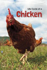 Cover image for Life Cycle of a Chicken