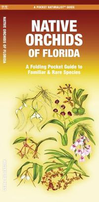 Cover image for Native Orchids of Florida