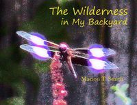 Cover image for The Wilderness in My Backyard