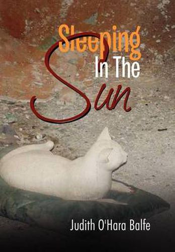 Cover image for Sleeping in the Sun