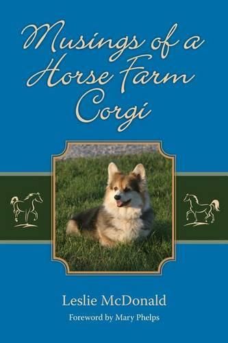 Cover image for Musings of a Horse Farm Corgi