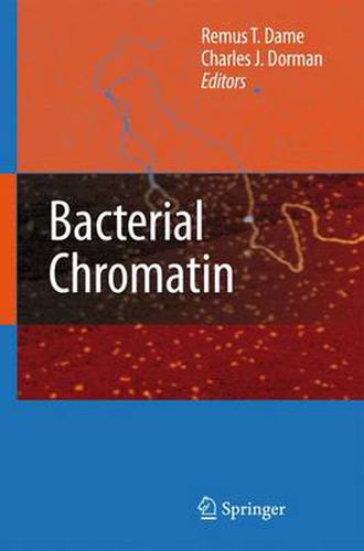 Cover image for Bacterial Chromatin