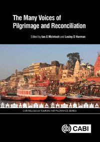 Cover image for The Many Voices of Pilgrimage and Reconciliation