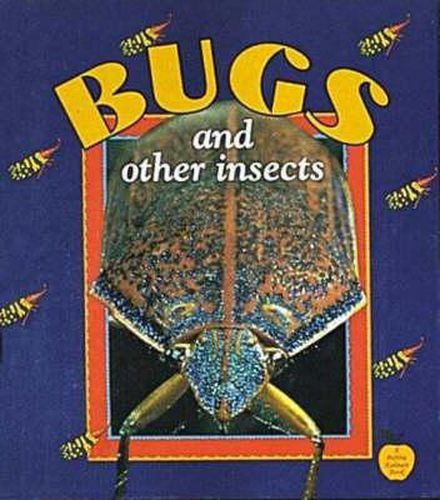 Cover image for Bugs and Other Insects