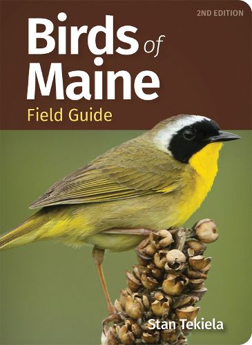 Cover image for Birds of Maine Field Guide