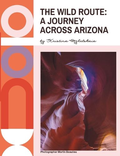 Cover image for The Wild Route