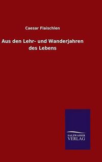 Cover image for Aus den Lehr- und Wanderjahren des Lebens