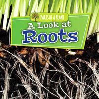 Cover image for A Look at Roots