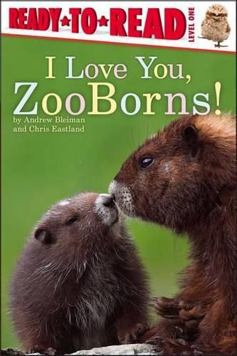 Cover image for I Love You, Zooborns!: Ready-To-Read Level 1