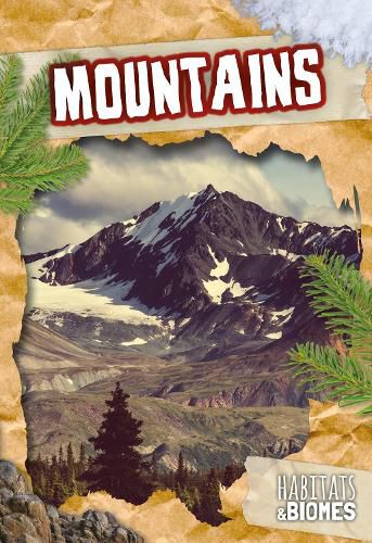 Cover image for Mountains