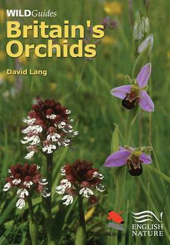 Cover image for Britain's Orchids