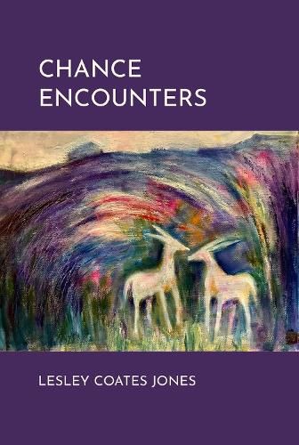 Cover image for Chance Encounters