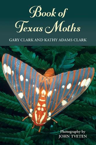 Cover image for Book of Texas Moths