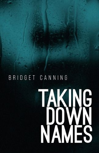 Cover image for Taking Down Names