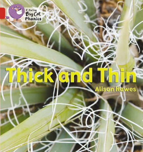 Cover image for Thick and Thin: Band 02b/Red B