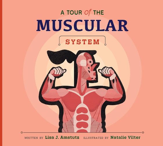 Cover image for A Tour of the Muscular System