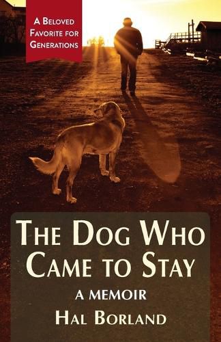 Cover image for The Dog Who Came to Stay: A Memoir