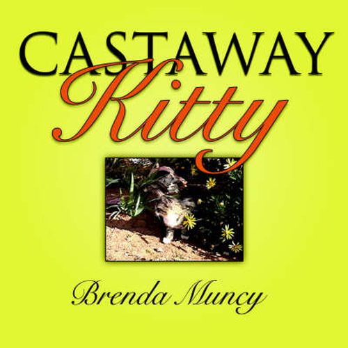 Cover image for Castaway Kitty
