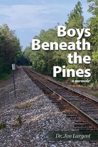 Cover image for Boys Beneath the Pines: a memoir