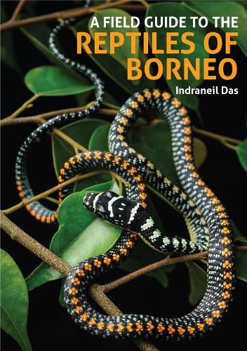 Cover image for A Field Guide to the Reptiles of Borneo