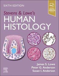Cover image for Stevens & Lowe's Human Histology